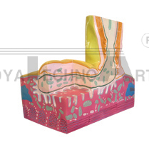 The model of motor end plate (1part)